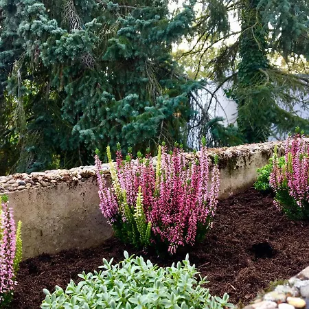 'das Kleine Feine' - Ruhige, Helle Mit Parkplatz Und Balkon *